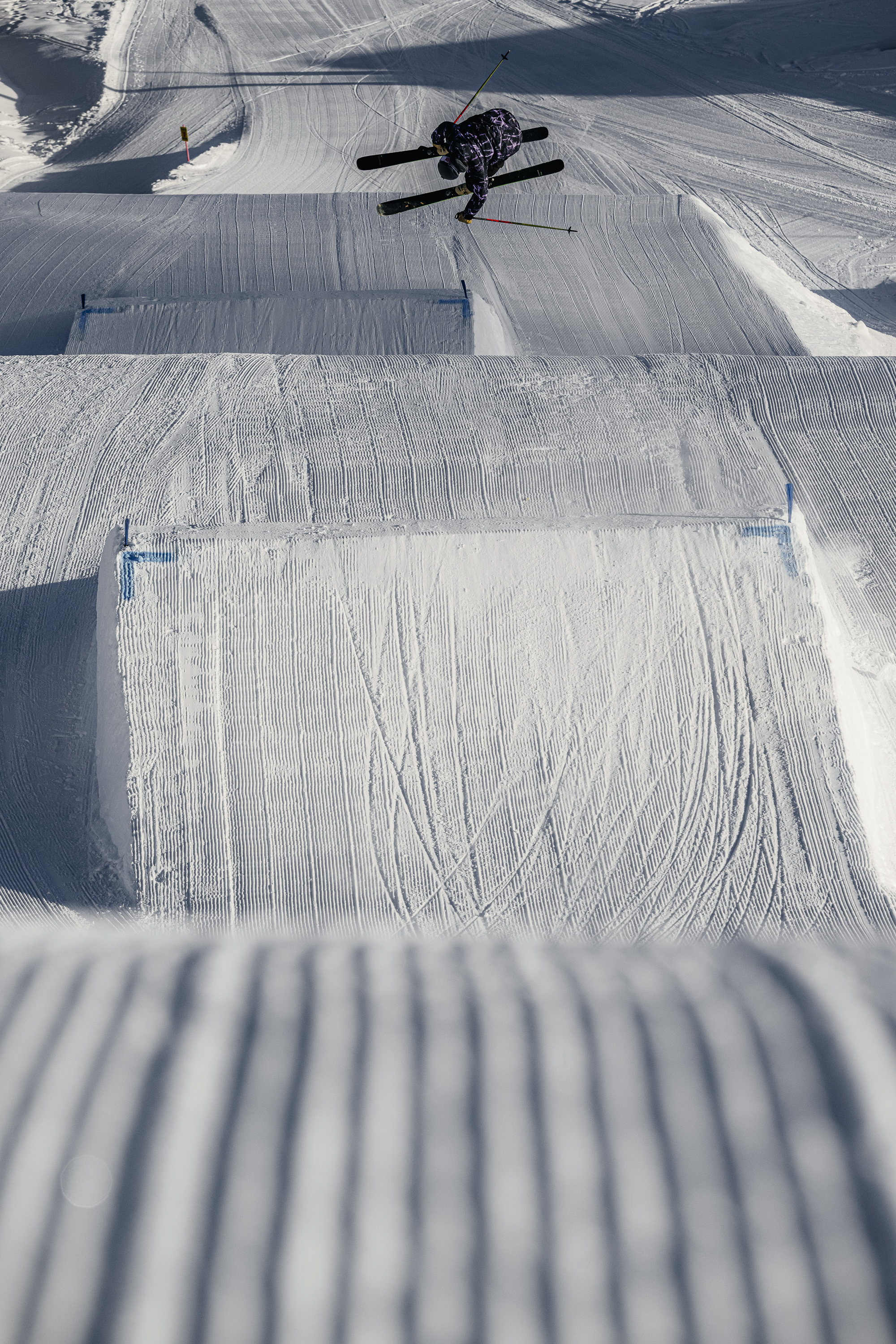 HarperMallet_Dollar2023-200-Tal-Roberts